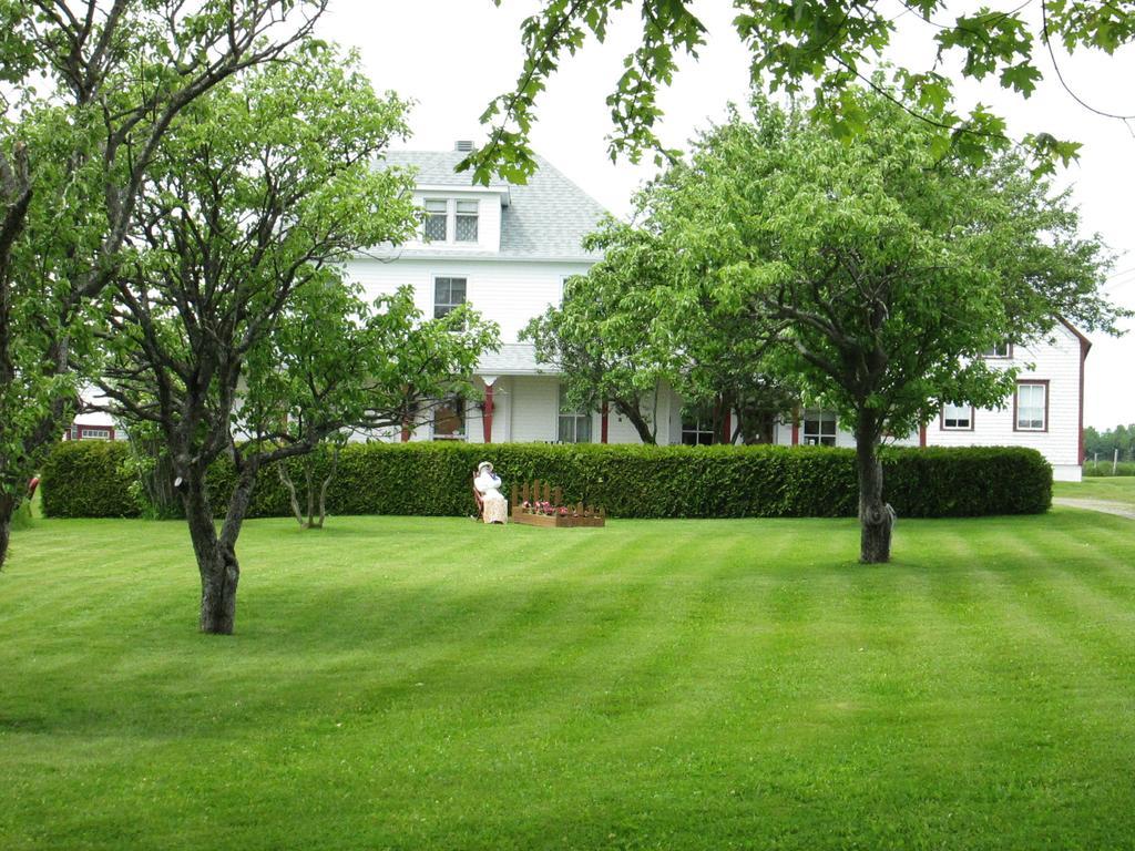 Gite Les Acres Tranquilles B&B Port-Daniel Exterior foto