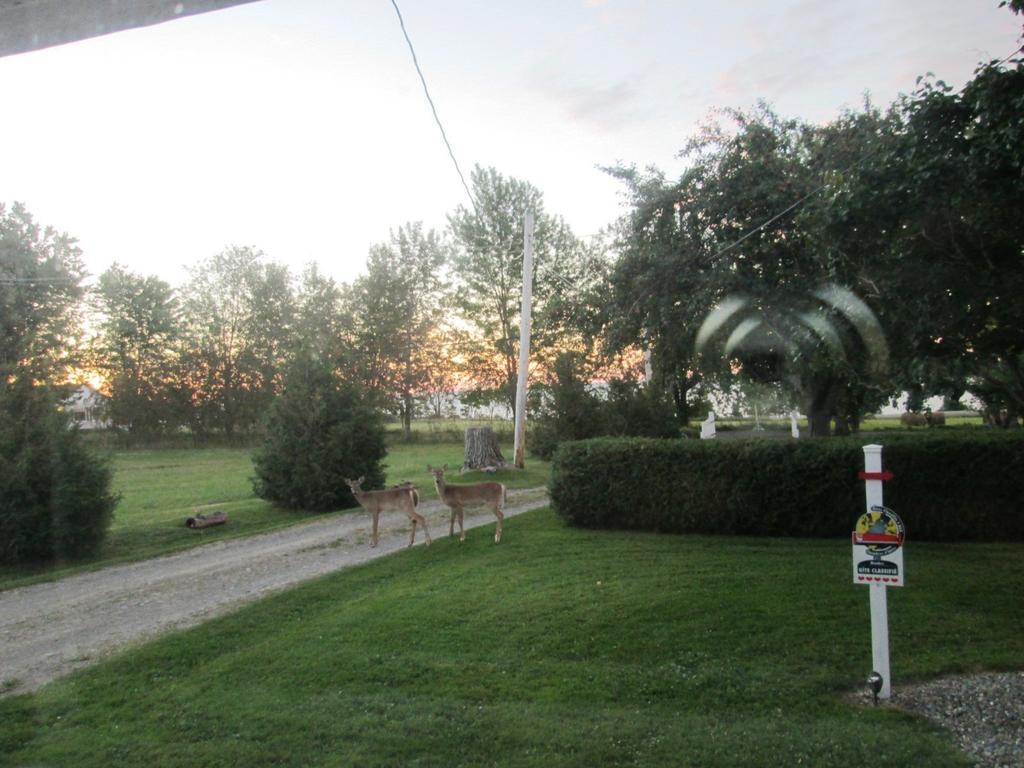 Gite Les Acres Tranquilles B&B Port-Daniel Exterior foto